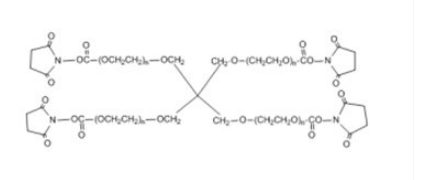 4 arm PEG NHS，四臂聚乙二醇活性酯，MW:10000
