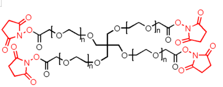 4Arm-PEG20k-NHS, 四臂聚乙二醇20k活性酯，4Arm-PEG-SCM