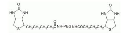 Biotin-PEG5k-Biotin  生物素-聚乙二醇-生物素
