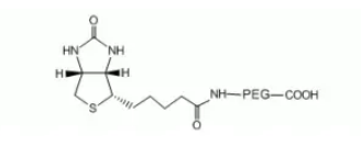 Biotin-PEG-COOH 生物素-聚乙二醇-羧基 MW：2K