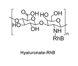 HA-RB/Rhodamine，透明质酸-罗丹明，Haluronic acid