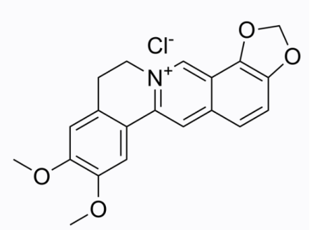 cas:889665-86-5 Epiberberine chloride 表小檗碱氯化物