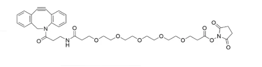 DBCO-PEG13-NHS Ester