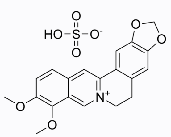 cas:633-66-9 Berberine sulfate 黄连素硫酸盐 