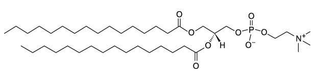 二棕榈酸磷脂酰胆碱