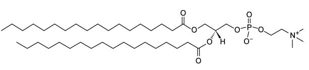 二硬脂酰磷脂酰胆碱