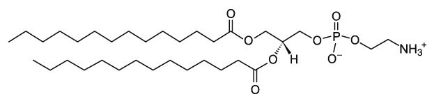 DMPE (14:0 PE)   