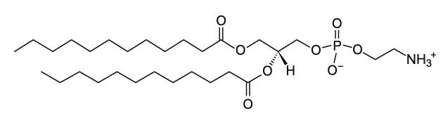 DLPE (12:0 PE) 