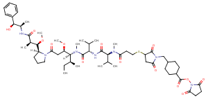 2021179-11-1 MMAE-SMCC Chemical Structure