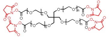 4Arm-PEG20k-NHS, 4Arm-PEG20k-SCM，四臂聚乙二醇20k活性酯