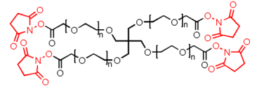 4Arm-PEG20k-NHS, 4Arm-PEG20k-SCM，四臂聚乙二醇20k活性酯