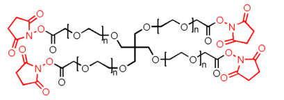 4-arm-PEG-NHS MW：10000 ，四臂聚乙二醇活性酯，4Arm-PEG-SCM