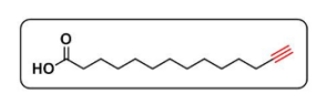 Alkynyl Myristic Acid，炔基-十四炔酸，CAS号：82909-47-5