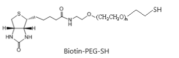 Biotin-PEG10K-SH  生物素-聚乙二醇10lk-巯基