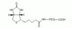 Biotin-PEG2000-COOH 生物素-聚乙二醇-羧基