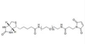 Biotin-PEG2K-Mal  生物素聚乙二醇2000马来酰亚胺  Biotin-PEG2000-MAL