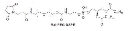 DSPE-PEG2000-MAL 磷脂-聚乙二醇2000马来酰亚胺