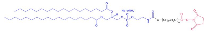 DSPE-PEG1000-NHS 磷脂-聚乙二醇1000-活性酯