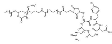 DSPE-PEG2000-cRGD, 多肽序列:c(RGDfk) 磷脂-聚乙二醇-环肽