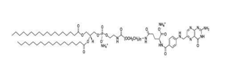 DSPE-PEG2000-FA 磷脂-聚乙二醇2000-叶酸