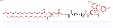 FITC-PEG2000-DSPE，Fluorescein-PEG2000-DSPE，荧光素聚乙二醇2000磷脂