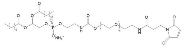 DSPE-PEG2K-MAL 磷脂聚乙二醇2k马来酰亚胺