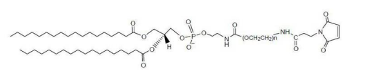 DSPE-PEG2K-Maleimide 二棕榈酰磷脂酰乙醇胺-聚乙二醇-马来酰亚胺