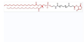 DSPE-PEG2k-NHS，磷脂聚乙二醇2k活性酯，DSPE-PEG2k-SS
