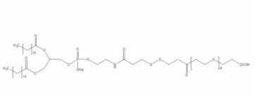 DSPE-PEG2K-SS-COOH 磷脂-SS-聚乙二醇2k-羧酸