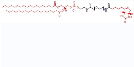 DSPE-PEG-BIOTIN，磷脂聚乙二醇生物素 MW:2000，1000