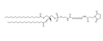 DSPE-PEG-MAL MW2000 磷脂-聚乙二醇-马来酰亚胺 DSPE-PEG-Maleimide