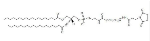 DSPE-PEG-Maleimide,MW:2000 磷脂聚乙二醇马来酰亚胺