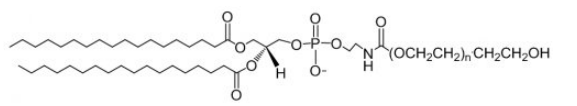 DSPE-PEG-OH,MW:2000 磷脂-聚乙二醇-羟基