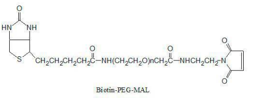MAL-PEG1K-BIOTIN 生物素聚乙二醇1k马来酰亚胺