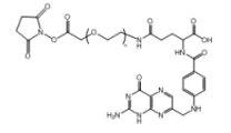 FA-PEG-NHS MW:1K 叶酸聚乙二醇活性酯