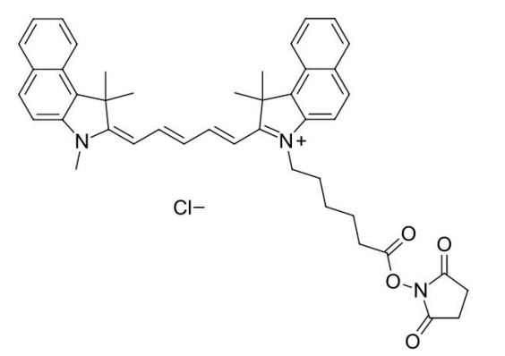 CY5.5琥珀酰亚胺脂  Cy5.5 NHS