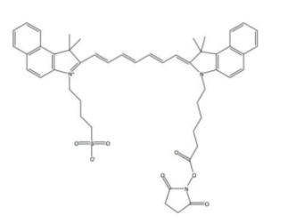 ICG-NHS  CAS: 1622335-40-3 吲哚菁绿-琥珀酰亚胺酯