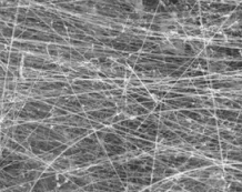 磁性氧化铁纳米线 Magnetic iron oxide nanowires