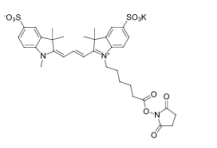 Sulfo Cy3 NHSCy3 NHS ester 水溶性染料