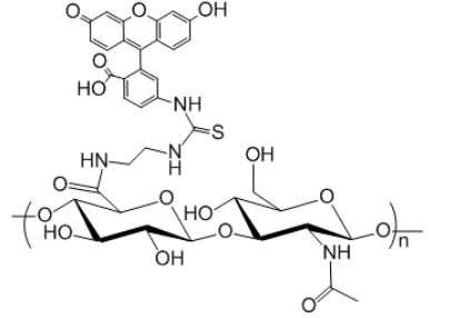 fitc-透明质酸 FITC-Hyaluronate 荧光标记的多糖