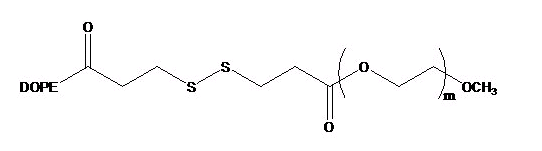 玫瑰红6G  Cas：989-38-8