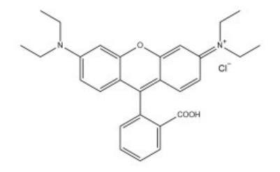 罗丹明B-色氨酸 荧光标记色氨酸