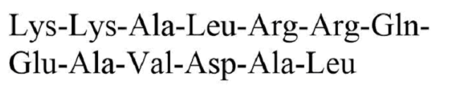 Autocamtide-2-related inhibitory peptide