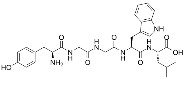 Gluten Exorphin B5