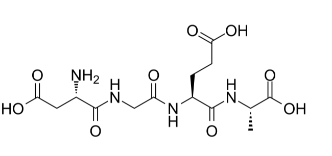 α2β1 Integrin Ligand Peptide