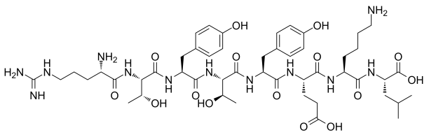 β-catenin peptide