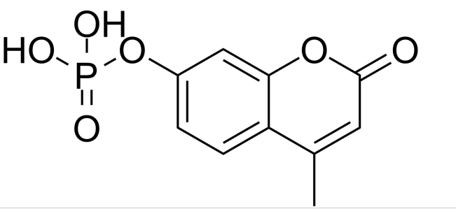 4-Methylumbelliferyl phosphate