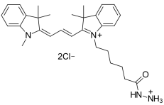 CY3-HZ;  水溶性Cy3酰肼染料