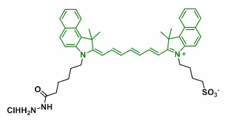 ICG-Hydrazide;  吲哚菁绿-酰肼