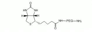 Biotin-PEG2000-Amine 生物素-聚乙二醇2000-氨基